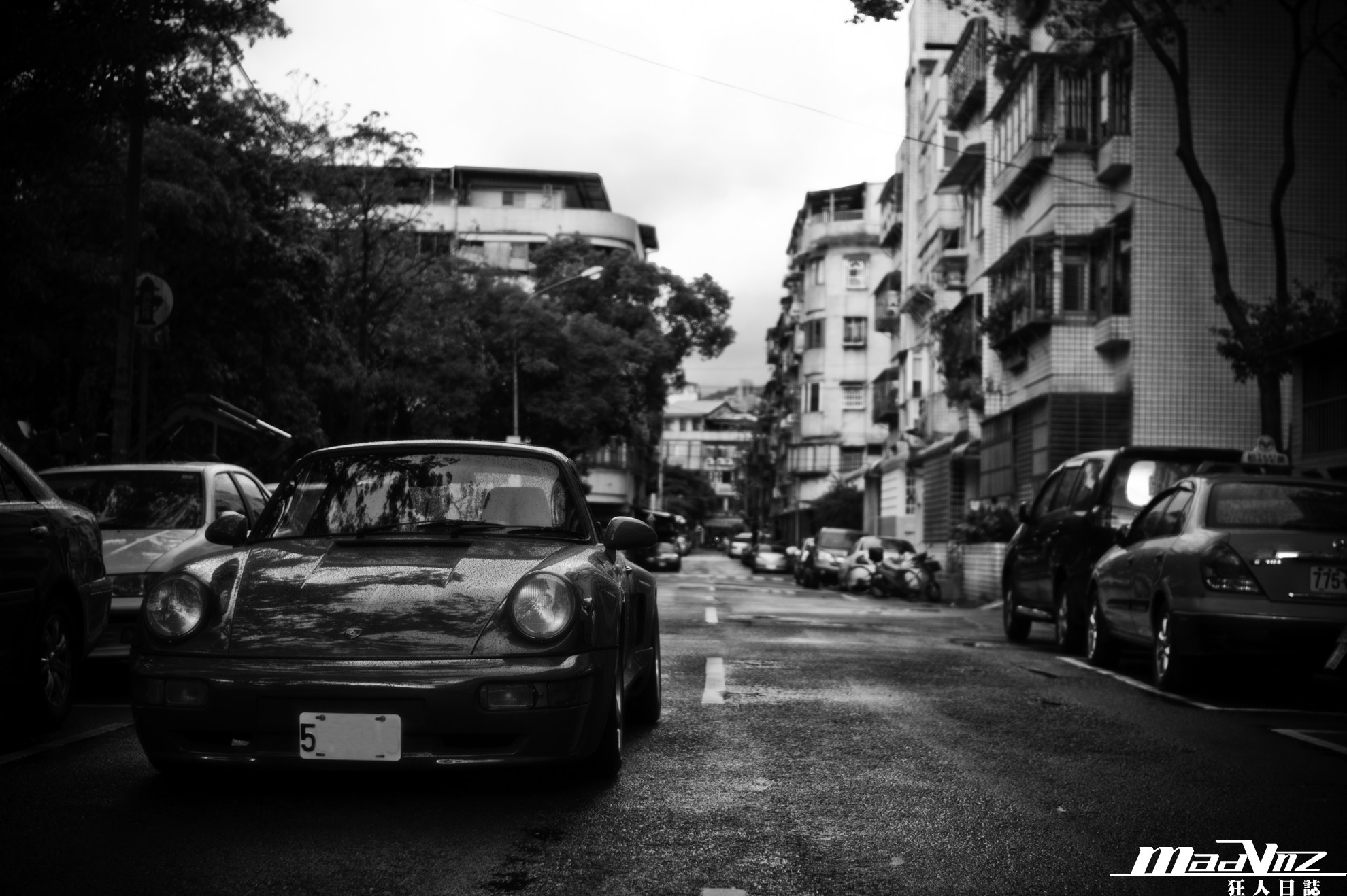 SONY DSC