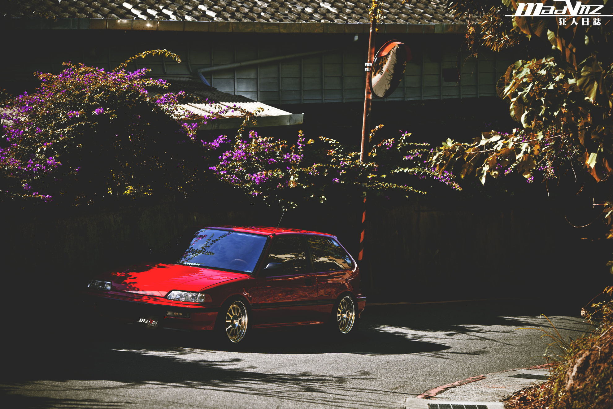 DSC_5305